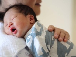 人工同志借卵代怀服务怎么找